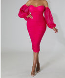 Ruched Off Shoulder Sheer Organza Sleeve Midi Dress