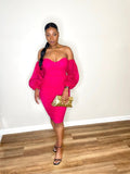 Ruched Off Shoulder Sheer Organza Sleeve Midi Dress